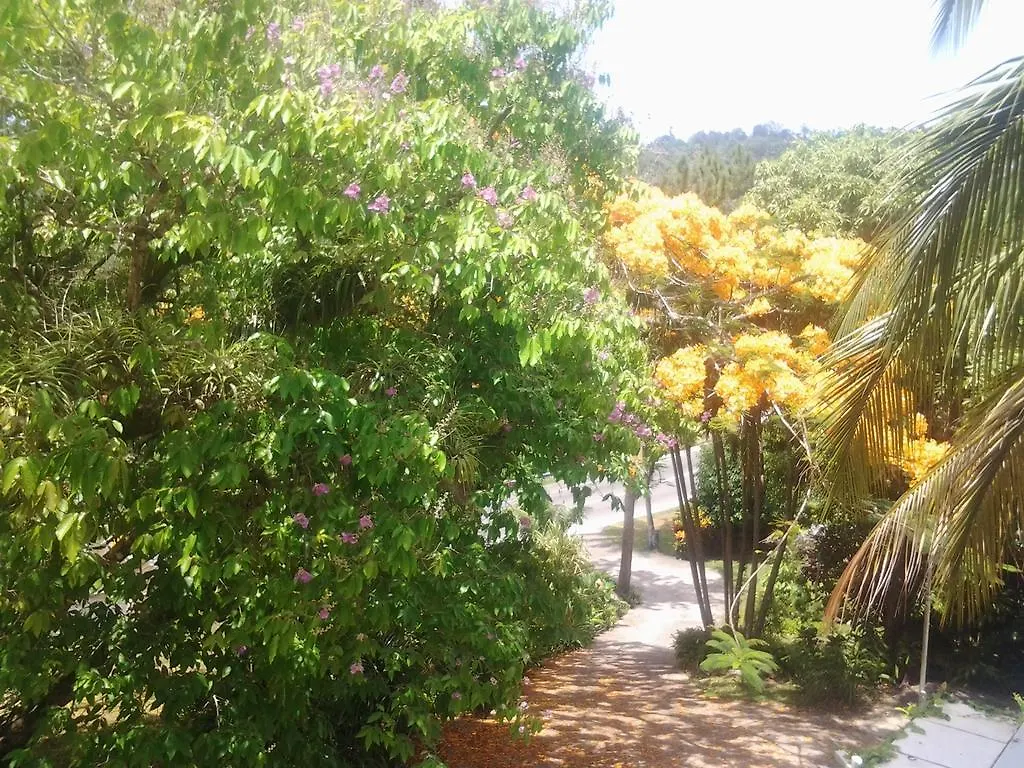 Rio Vista Resort Port Antonio